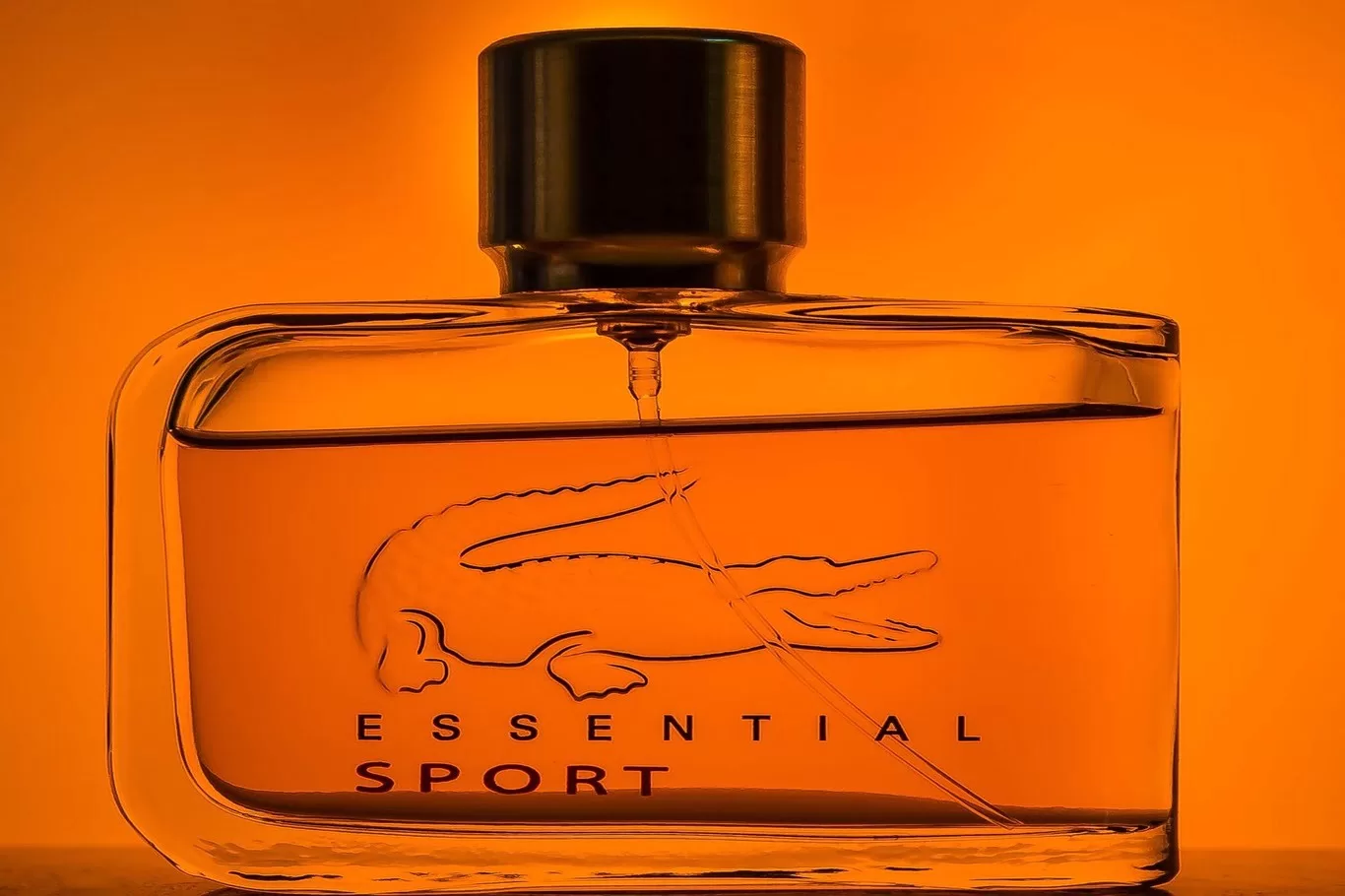 Lacoste Erkek Parfüm Çeşitleri Nelerdir?