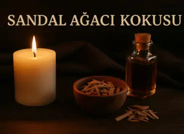 Sandal Ağacı Kokusu Nasıldır ve Neye Benzer?